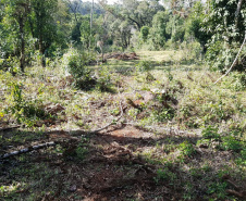 Polícia Ambiental e IAT localizam 406 ha de desmate no Centro-Sul e aplicam R$ 4,2 milhões em multas 
