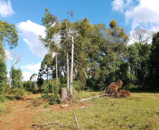 Polícia Ambiental e IAT localizam 406 ha de desmate no Centro-Sul e aplicam R$ 4,2 milhões em multas 