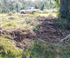 Polícia Ambiental e IAT localizam 406 ha de desmate no Centro-Sul e aplicam R$ 4,2 milhões em multas 