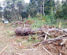 Polícia Ambiental e IAT localizam 406 ha de desmate no Centro-Sul e aplicam R$ 4,2 milhões em multas 