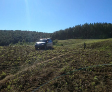 Polícia Ambiental e IAT localizam 406 ha de desmate no Centro-Sul e aplicam R$ 4,2 milhões em multas 