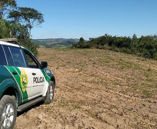 Polícia Ambiental e IAT localizam 406 ha de desmate no Centro-Sul e aplicam R$ 4,2 milhões em multas 