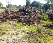 Polícia Ambiental e IAT localizam 406 ha de desmate no Centro-Sul e aplicam R$ 4,2 milhões em multas 