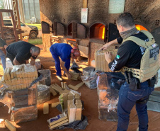 PCPR incinera mais de 7 toneladas de drogas