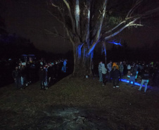 Polícia Civil dispersa festa clandestina com cerca de 200 pessoas e encaminha um dos organizadores, em Piraquara (PR)