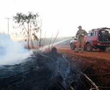 Paraná registra queda de 30% nos incêndios florestais no 1º quadrimestre