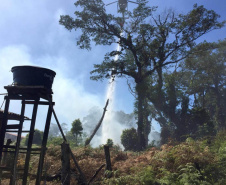 Paraná registra queda de 30% nos incêndios florestais no 1º quadrimestre