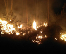 Paraná registra queda de 30% nos incêndios florestais no 1º quadrimestre