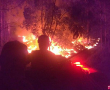 Paraná registra queda de 30% nos incêndios florestais no 1º quadrimestre