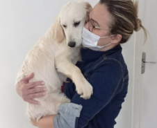 Cão da PM será aplicado em programa de saúde mental de profissionais da segurança pública