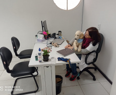 Cão da PM será aplicado em programa de saúde mental de profissionais da segurança pública