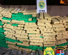 PM apreende 45 toneladas de drogas no primeiro semestre de 2021 no Oeste e Sudoeste 