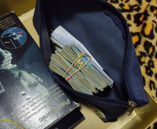 Polícia Militar e Ministério Público deflagram Operação Força e Honra para cumprir 69 mandados judiciais no Noroeste e Oeste do PR