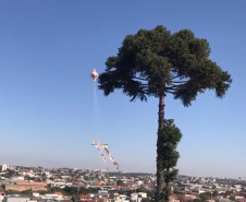 Polícia Militar apreende balão que caiu no bairro Boqueirão, em Curitiba