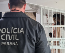 PCPR deflagra operação contra o tráfico de animais 