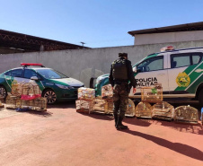 Mais de 100 aves nativas são apreendidas em operação no Noroeste do Estado
