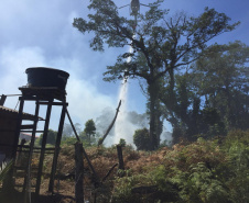 Com 268 focos no fim de semana, Paraná acende alerta para incêndios florestais