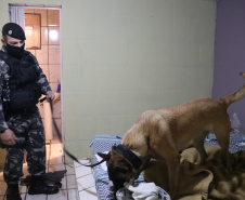 Pousadas e hotéis de alta rotatividade no Centro de Curitiba são alvo da primeira  edição da operação Centro Seguro da PM 