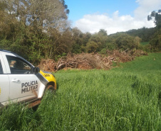Estado aplica R$ 1 milhão em multas e apreende madeira nativa em ação contra o desmatamento