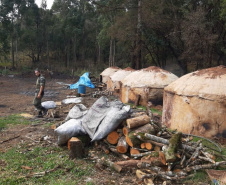 Estado aplica R$ 1 milhão em multas e apreende madeira nativa em ação contra o desmatamento