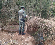 Estado aplica R$ 1 milhão em multas e apreende madeira nativa em ação contra o desmatamento