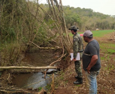 Estado aplica R$ 1 milhão em multas e apreende madeira nativa em ação contra o desmatamento