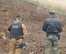 Estado aplica R$ 1 milhão em multas e apreende madeira nativa em ação contra o desmatamento