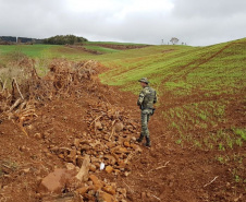 Estado aplica R$ 1 milhão em multas e apreende madeira nativa em ação contra o desmatamento
