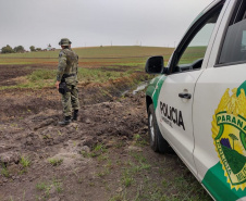Estado aplica R$ 1 milhão em multas e apreende madeira nativa em ação contra o desmatamento