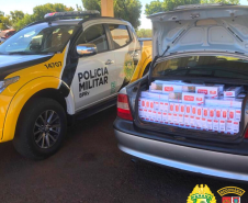 Batalhão Rodoviário da PM apreende 450 quilos de maconha e cigarros no Interior do estado