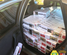 Batalhão Rodoviário da PM apreende 450 quilos de maconha e cigarros no Interior do estado
