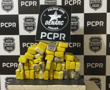 Atuação conjunta das polícias resulta em aumento na apreensão de drogas no primeiro semestre