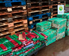 Atuação conjunta das polícias resulta em aumento na apreensão de drogas no primeiro semestre