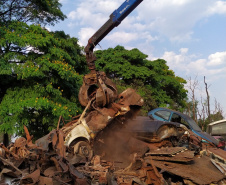 Polícia Civil remove 277 veículos de pátio de armazenamento em Cascavel