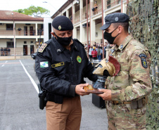 Segurança forma 30 policiais militares em curso de resposta rápida e missões especiais
