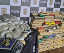Polícia Civil apreende quase 1,5 tonelada de maconha no Centro de Curitiba