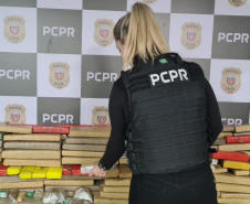 Polícia Civil apreende quase 1,5 tonelada de maconha no Centro de Curitiba