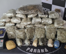 Polícia Civil apreende quase 1,5 tonelada de maconha no Centro de Curitiba