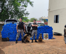 Operação da PM e PF apreende 1.080 quilos de maconha no Norte do Estado