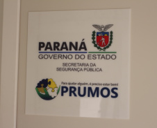 Secretaria da Segurança Pública incentiva cuidados com a saúde mental por meio do Prumos