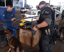 Operação conjunta combate organizações criminosas que utilizam as regiões fronteiriças