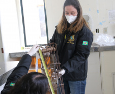 https://www.seguranca.pr.gov.br/Noticia/Secao-de-Crimes-Ambientais-da-Policia-Cientifica-fortalece-protecao-da-fauna-e-da-flora-no