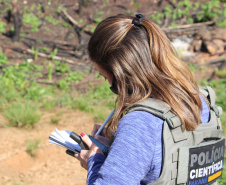 Seção de Crimes Ambientais da Polícia Científica fortalece proteção da fauna e da flora no Paraná