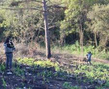 Seção de Crimes Ambientais da Polícia Científica fortalece proteção da fauna e da flora no Paraná