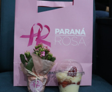 Servidoras e prestadoras de serviço vinculadas à Sesp participam da Campanha Paraná Rosa