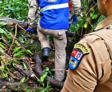 Homem é resgatado por equipes da Polícia Militar e do Siate após se ferir durante trilha no Morro do Boi, em Matinhos (PR)
