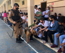 Equipe de Operações com Cães participa de atividade em colégio em Santo Antônio da Platina (PR)