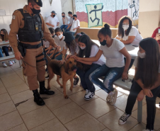 Equipe de Operações com Cães participa de atividade em colégio em Santo Antônio da Platina (PR)