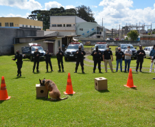 Depen-PR organiza campanha e entrega brinquedos para crianças em Piraquara