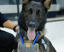 Cão da PCPR e seu condutor são homenageados por bom desempenho